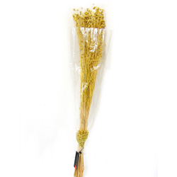 Suszone Kwiaty Len naturalny Bukiet Żółty 70cm